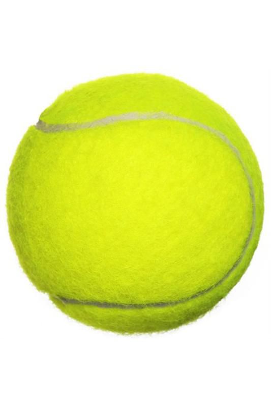 Can Sport Tenis Topu