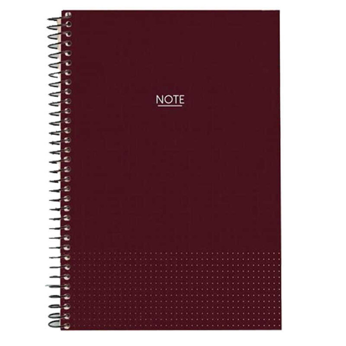 Dilman Spiralli Defter Note Çizgili 120 YP 17X24