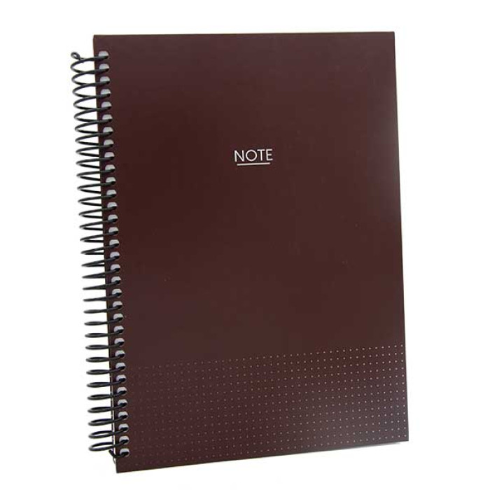 Dilman Spiralli Defter Note Çizgisiz 120 YP 17X24