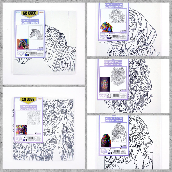 Südor Desenli Tuval 25X35