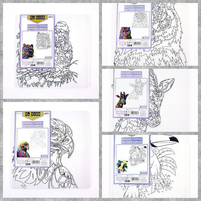 Südor  Desenli Tuval 35X50